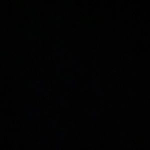 Meet your Posher, Scarlett